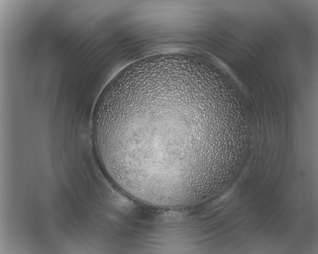 X0000063451178200602031800