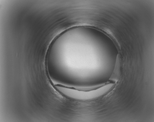 X0000063451181200602031800