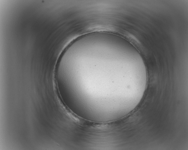 X0000063451182200602031800