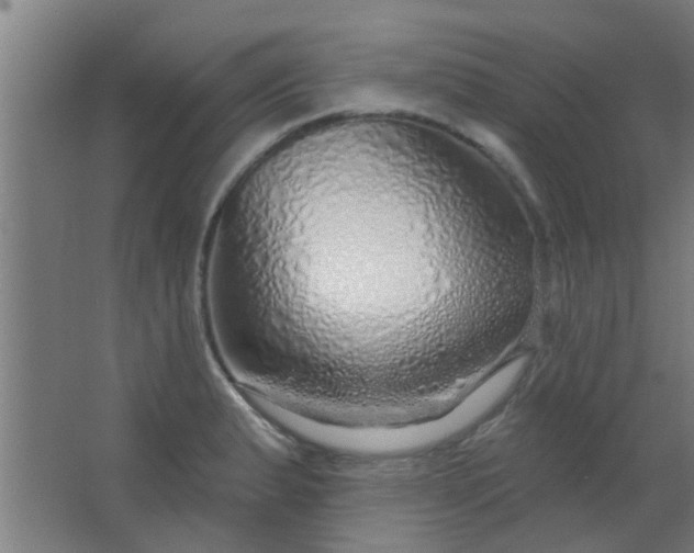 X0000063451183200602031800