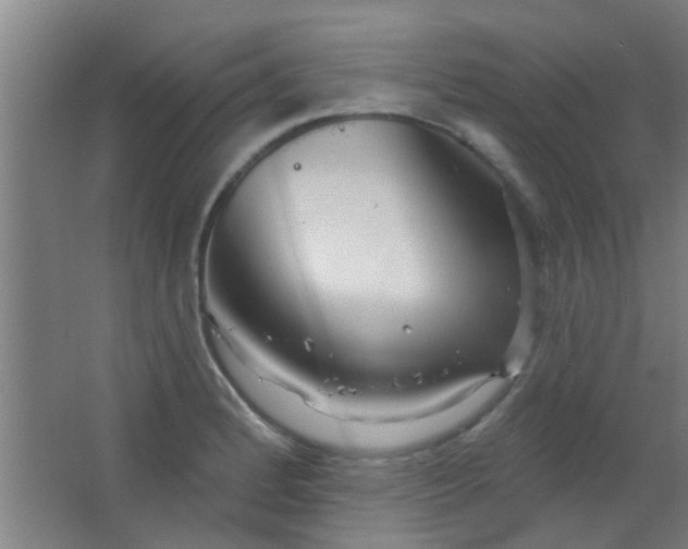 X0000063451184200602031800