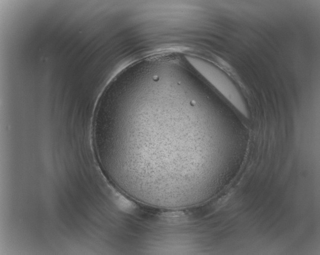 X0000063451186200602031800