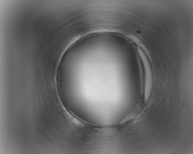 X0000063451189200602031800