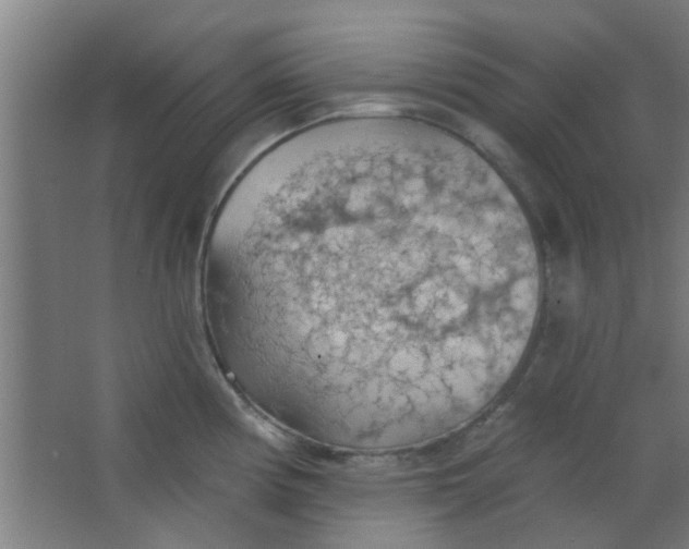 X0000063451194200602031800