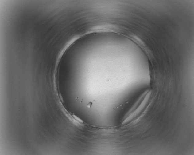 X0000063451196200602031800