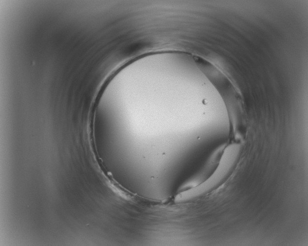 X0000063451197200602031800