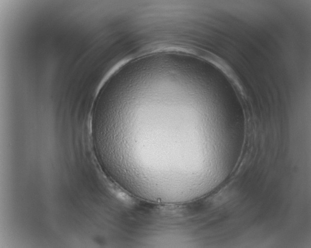 X0000063451198200602031800