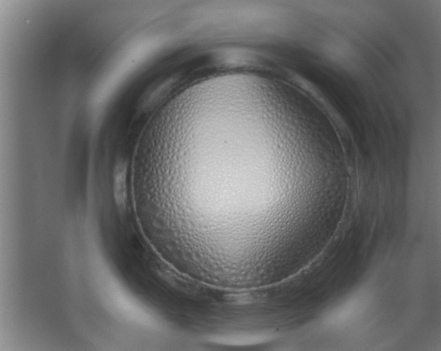 X0000063451199200602031800