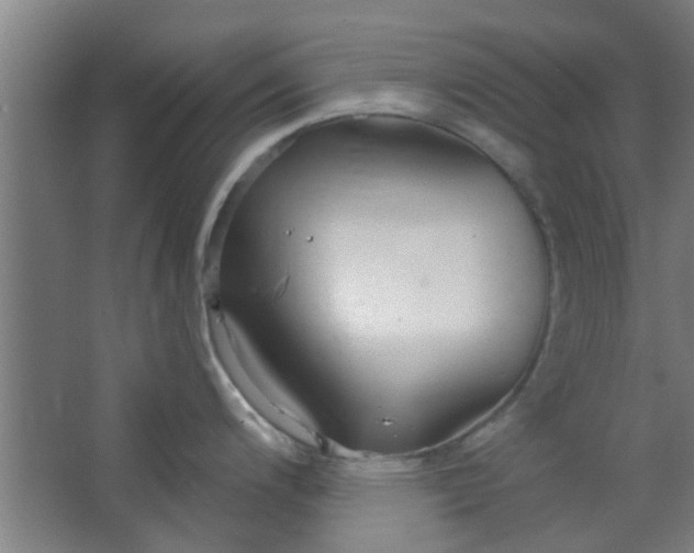 X0000063451200200602031800