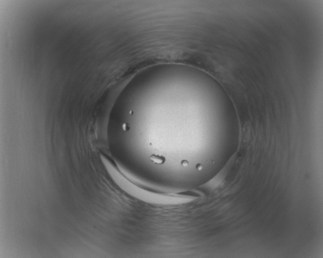 X0000063451202200602031759