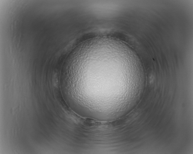 X0000063451204200602031759