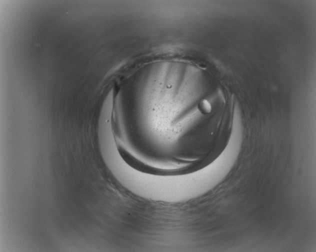 X0000063451206200602031759