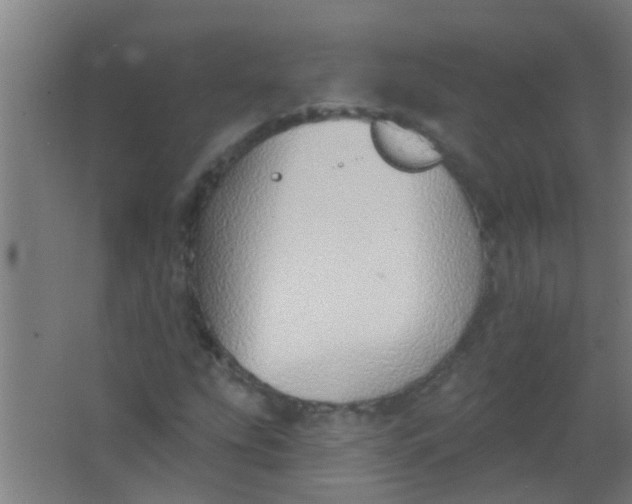 X0000063451207200602031759