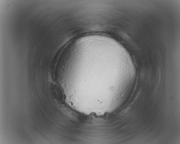 X0000063451209200602031759