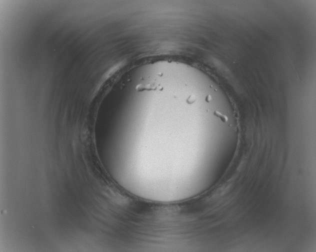 X0000063451210200602031759