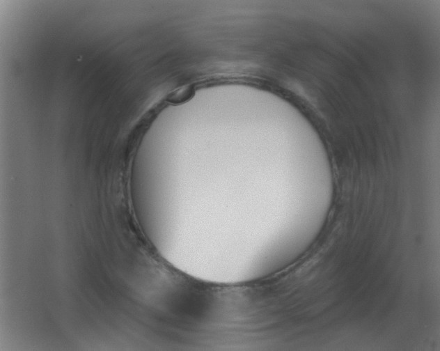 X0000063451211200602031759