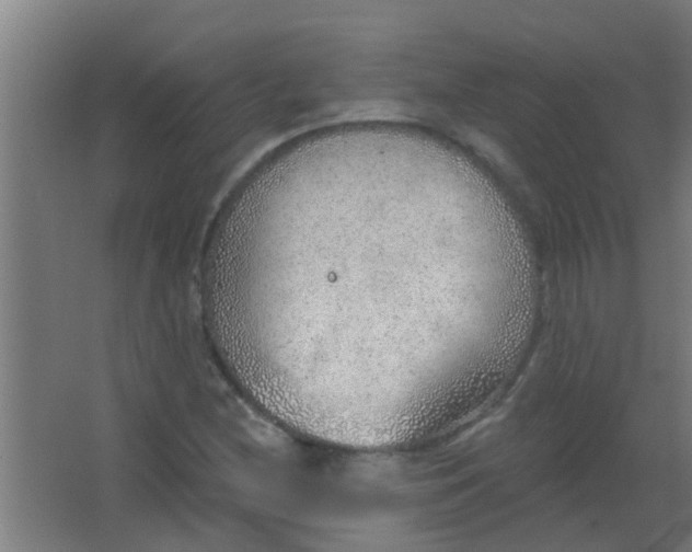 X0000063451212200602031759