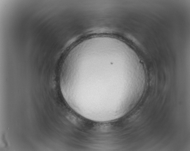 X0000063451213200602031759