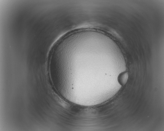 X0000063451216200602031759