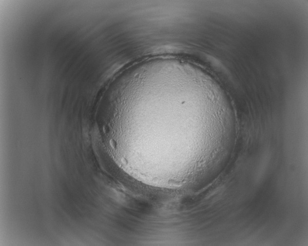 X0000063451217200602031759