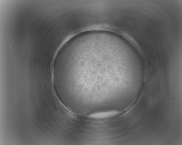 X0000063451224200602031759