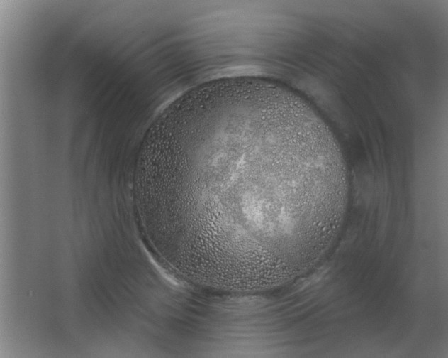 X0000063451225200602031759