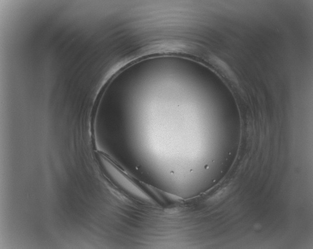 X0000063451226200602031759