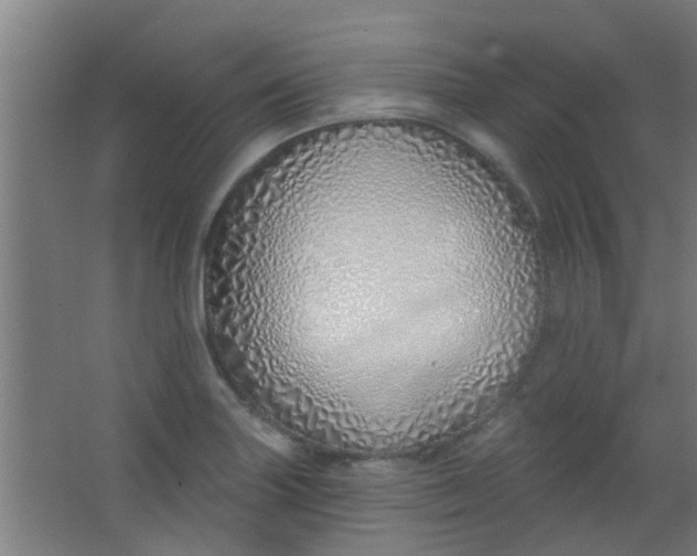 X0000063451227200602031759