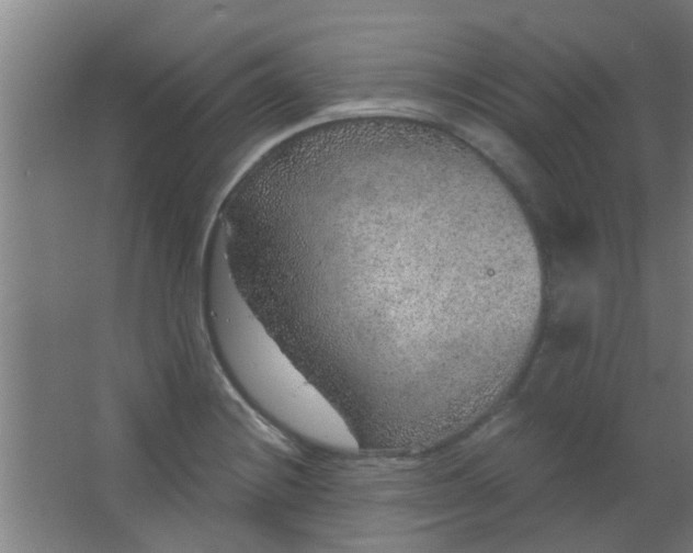 X0000063451228200602031759