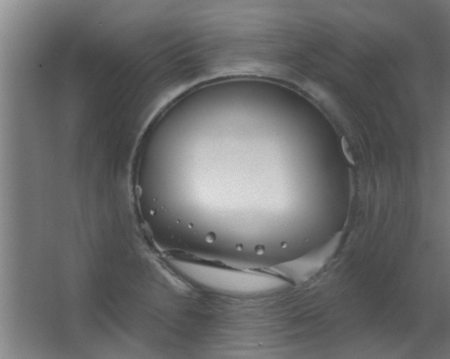 X0000063451230200602031759