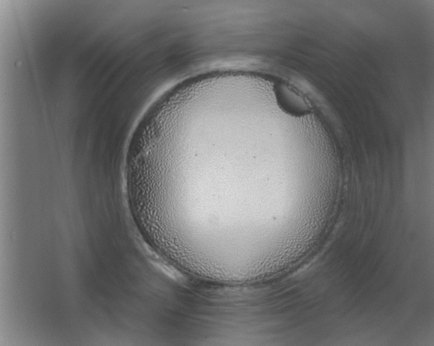 X0000063451232200602031759