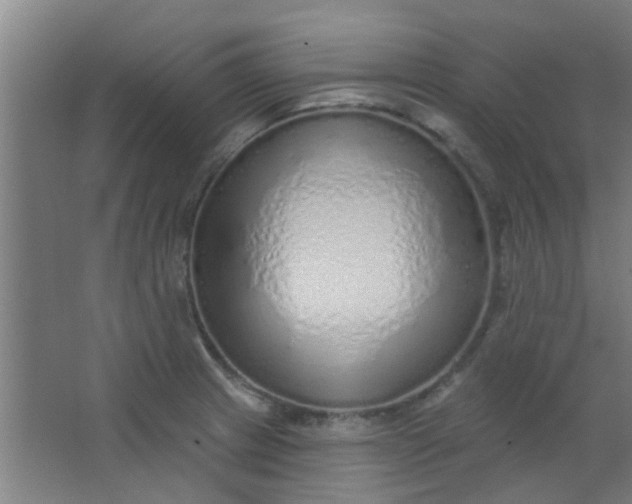 X0000063451233200602031759