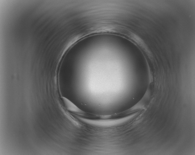 X0000063451234200602031759