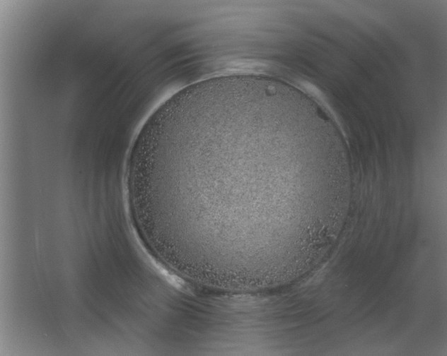 X0000063451235200602031759