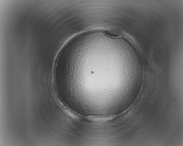 X0000063451236200602031759