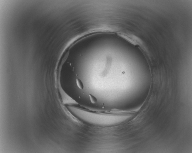 X0000063451238200602031759