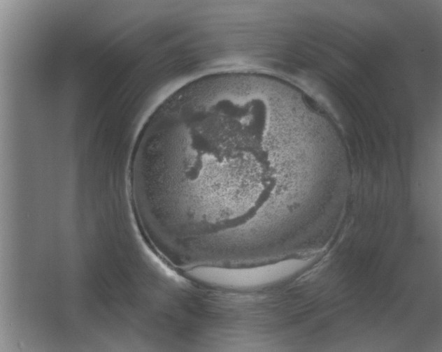 X0000063451239200602031759