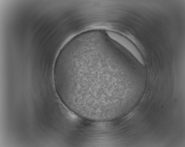 X0000063451240200602031759