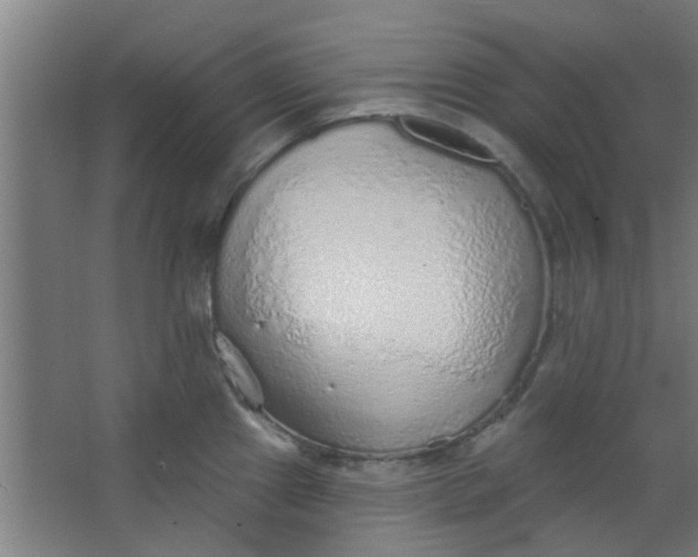 X0000063451241200602031759