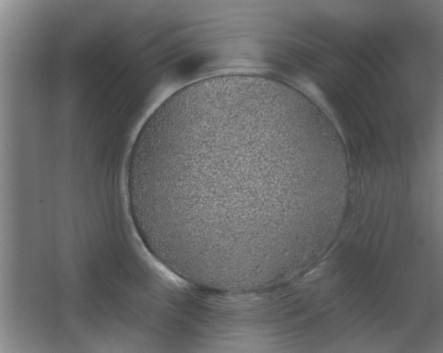 X0000063451243200602031759