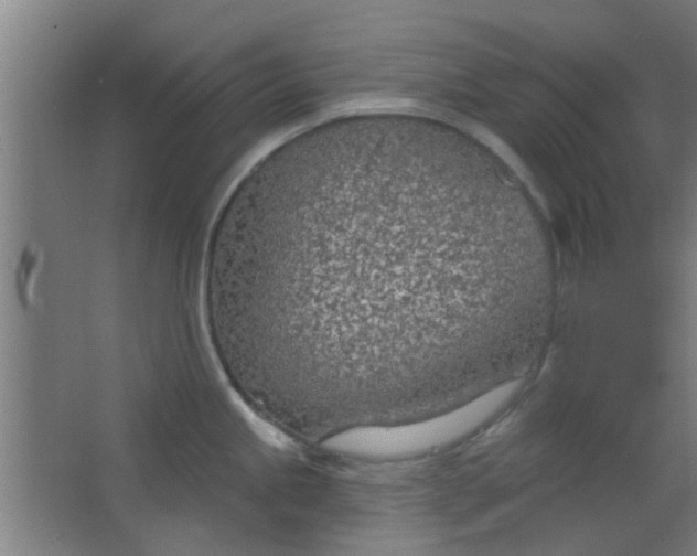 X0000063451245200602031800