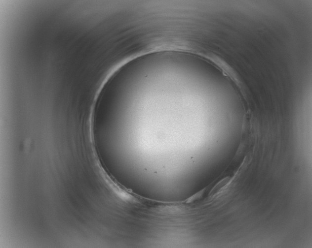 X0000063451246200602031800