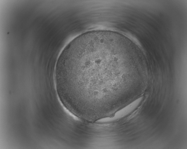 X0000063451247200602031800