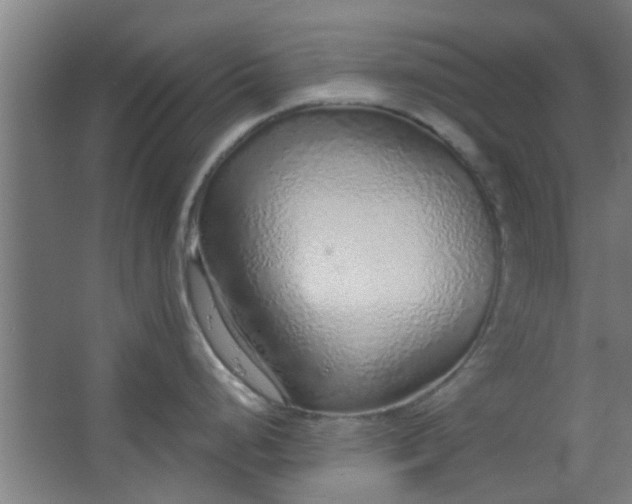 X0000063451248200602031800