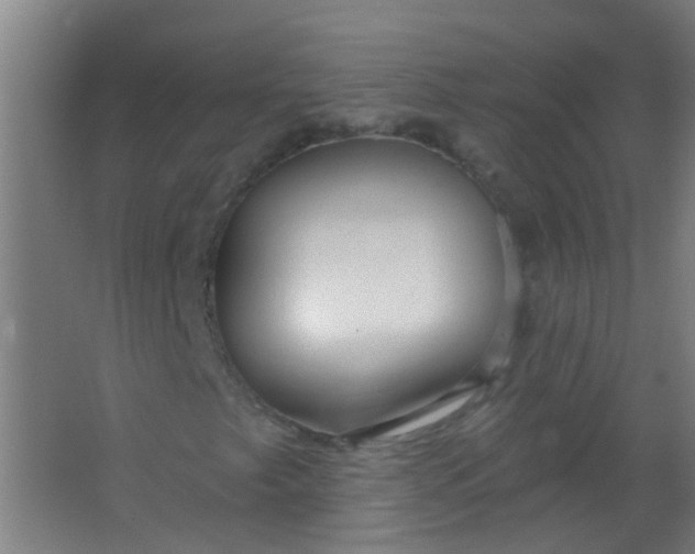 X0000063451249200602031759