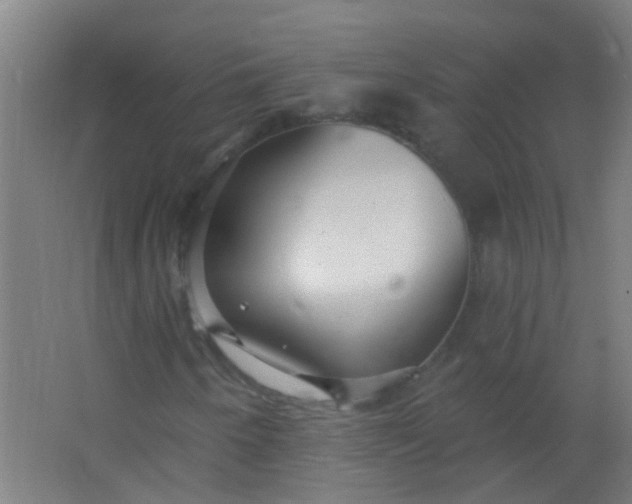 X0000063451250200602031759