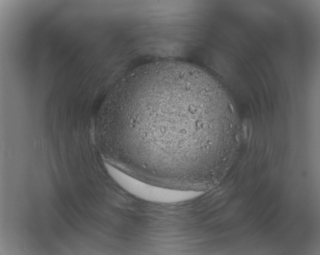 X0000063451251200602031759