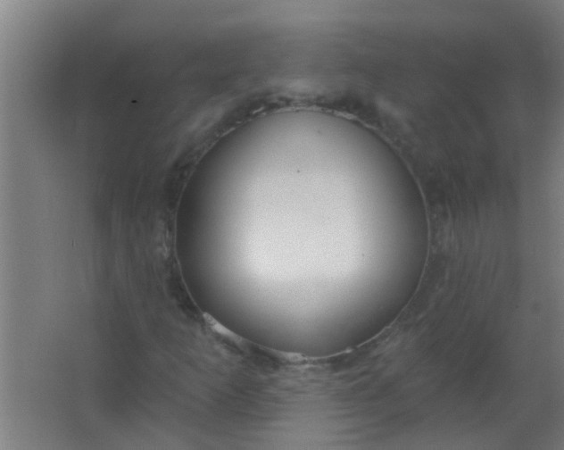 X0000063451253200602031759