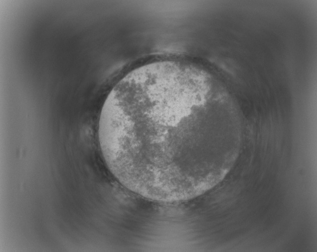 X0000063451254200602031759