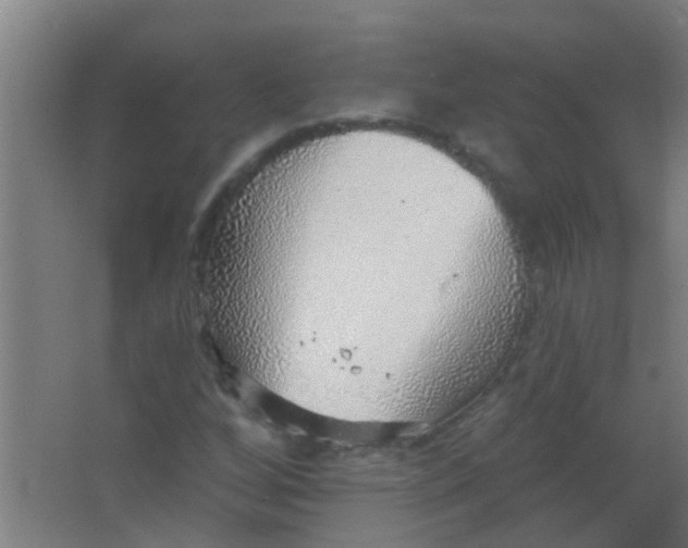 X0000063451256200602031759